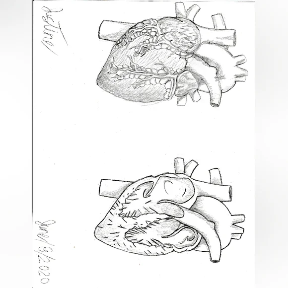 Digital Custom Pencil Art. - Picture 8 of 10